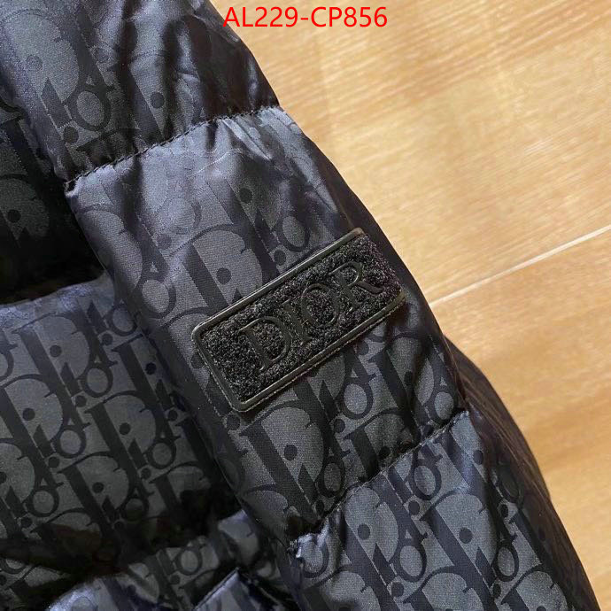 Down jacketMen-Dior,we offer , ID: CP856,$: 229USD