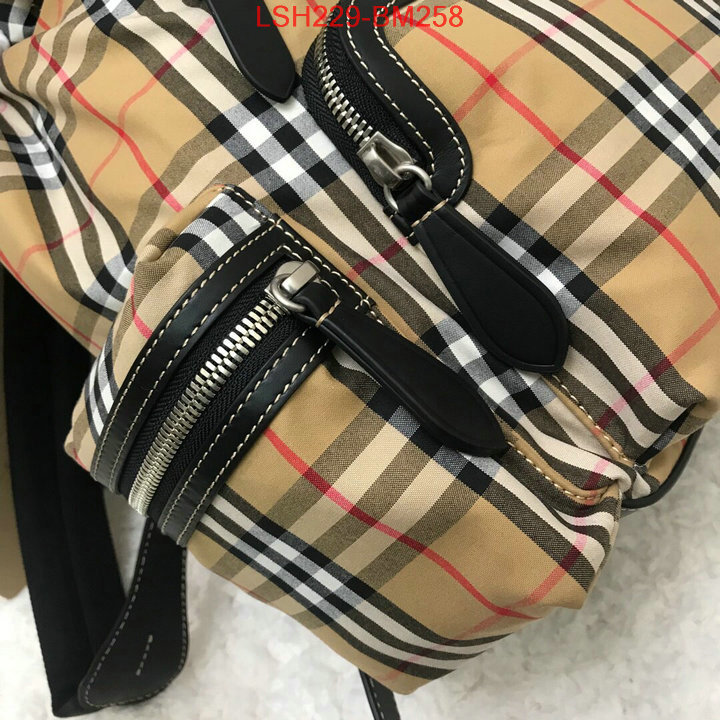 Burberry Bags(TOP)-Backpack-,best luxury replica ,ID: BM258,$:229USD