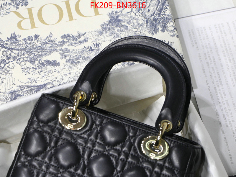 Dior Bags(TOP)-Lady-,ID: BN3616,$: 209USD