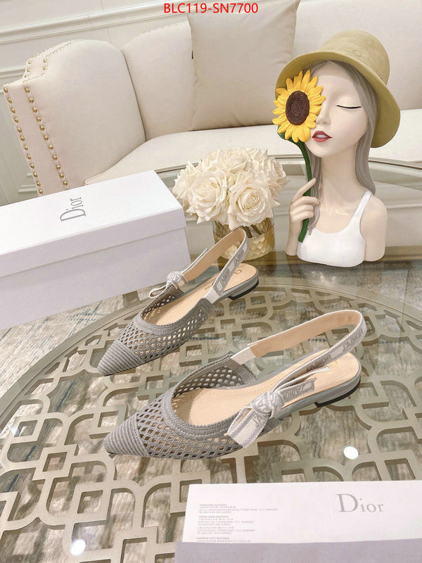 Women Shoes-Dior,sell online luxury designer , ID: SN7700,$: 119USD