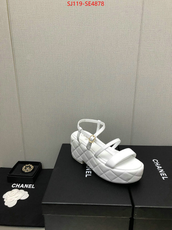 Women Shoes-Chanel,quality replica , ID: SE4878,$: 119USD