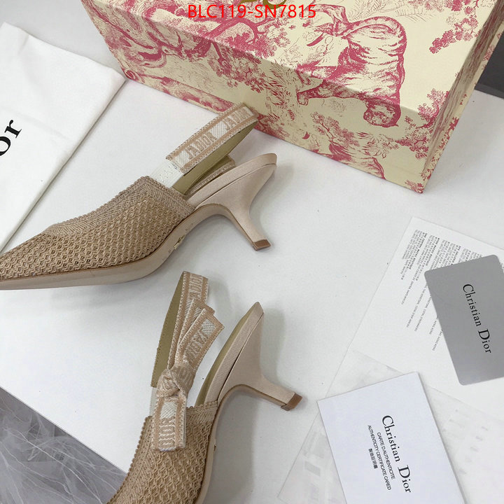 Women Shoes-Dior,shop cheap high quality 1:1 replica , ID: SN7815,$: 119USD