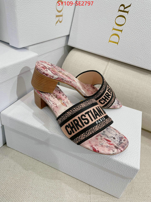 Women Shoes-Dior,shop the best high authentic quality replica , ID: SE2797,$: 109USD