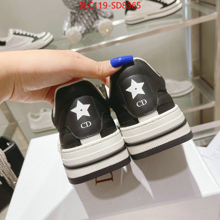 Women Shoes-Dior,buy high quality fake , ID: SD8365,$: 119USD