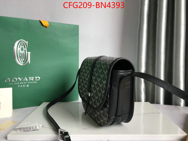 Goyard Bags(TOP)-Diagonal-,ID: BN4393,$: 209USD