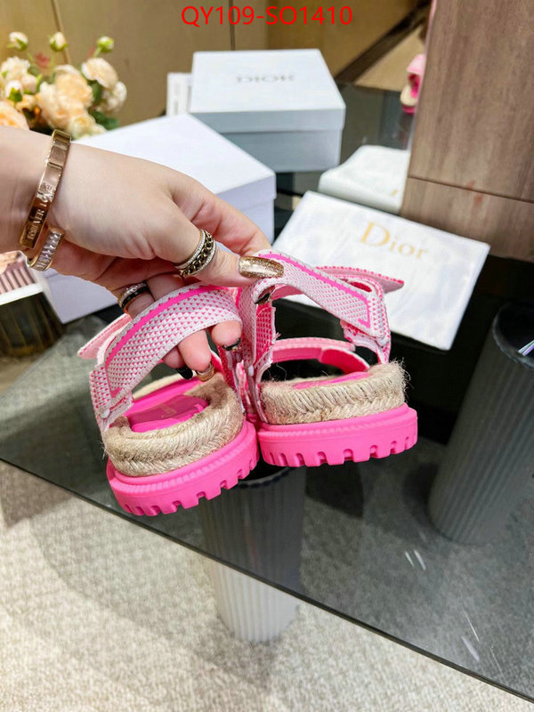 Women Shoes-Dior,wholesale , ID: SO1410,$: 109USD