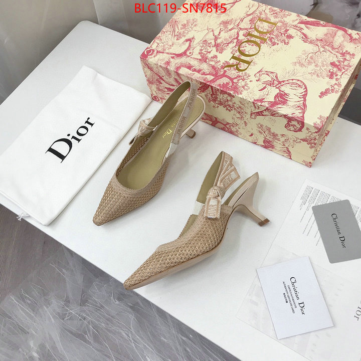 Women Shoes-Dior,shop cheap high quality 1:1 replica , ID: SN7815,$: 119USD