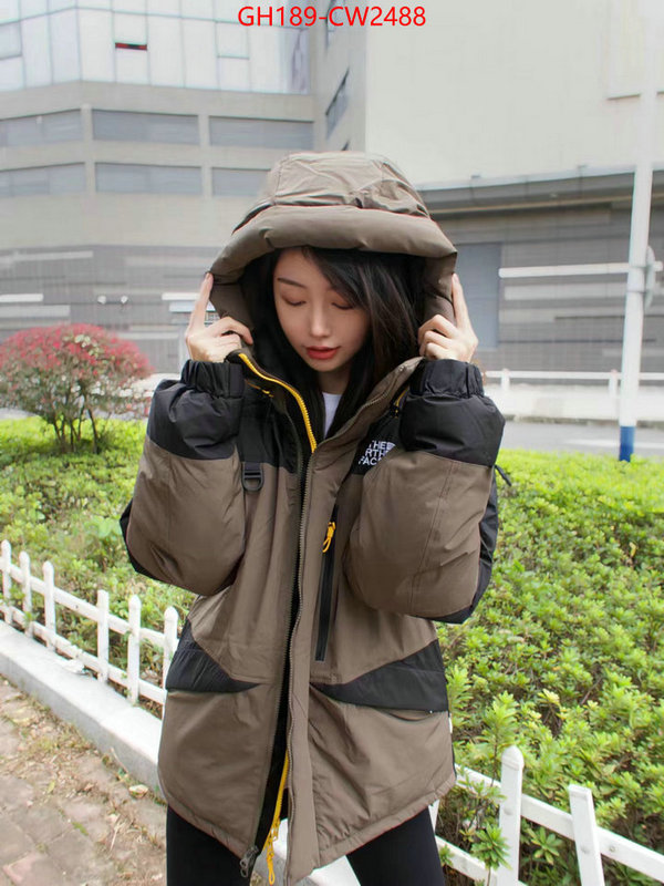 Down jacket Women-The North Face,best wholesale replica , ID: CW2488,$: 189USD