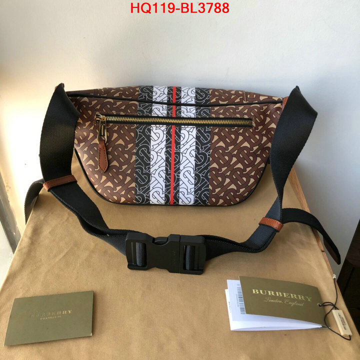 Burberry Bags(TOP)-Diagonal-,ID: BL3788,$: 119USD