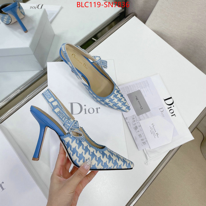 Women Shoes-Dior,what's the best to buy replica , ID: SN7836,$: 119USD