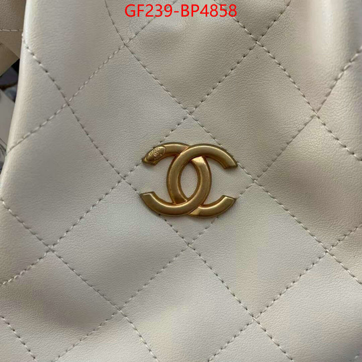 Chanel Bags(TOP)-Handbag-,ID: BP4858,$: 239USD