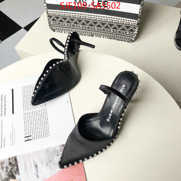 Women Shoes-Alexander Wang,wholesale china , ID: SA5502,$: 109USD