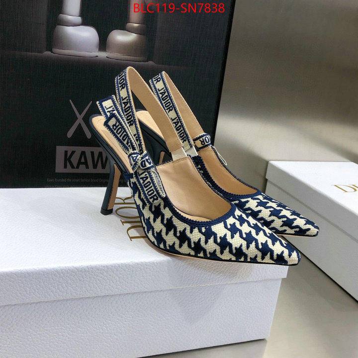 Women Shoes-Dior,can i buy replica , ID: SN7838,$: 119USD