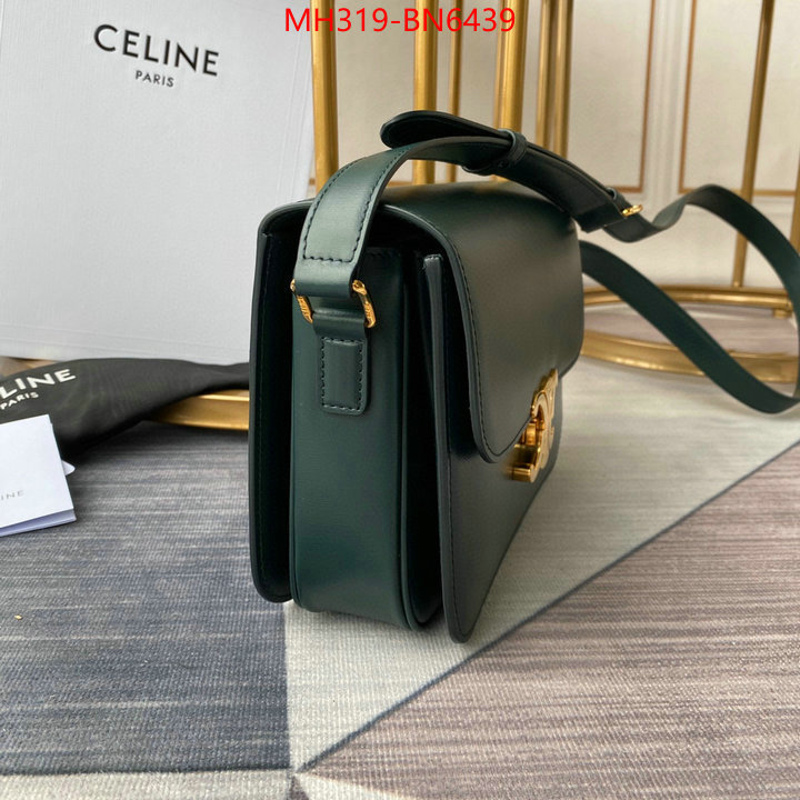 CELINE Bags(TOP)-Triomphe Series,fashion designer ,ID: BN6439,$: 319USD