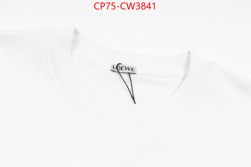 Clothing-Loewe,the most popular , ID: CW3841,$: 75USD