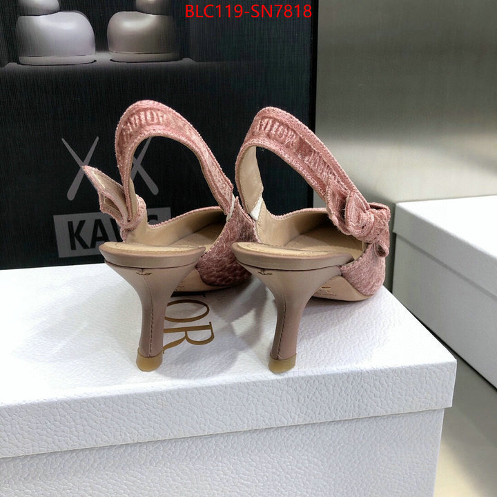 Women Shoes-Dior,aaaaa+ quality replica , ID: SN7818,$: 119USD
