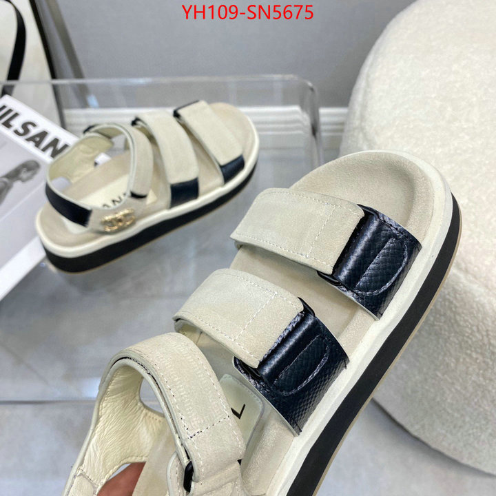 Women Shoes-Chanel,replicas , ID: SN5675,$: 109USD