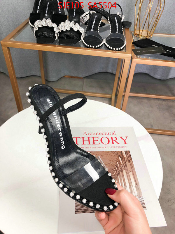 Women Shoes-Alexander Wang,shop the best high authentic quality replica , ID: SA5504,$: 105USD