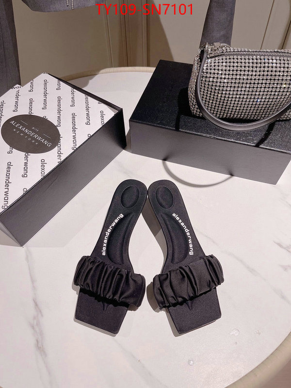 Women Shoes-Alexander Wang,cheap wholesale , ID: SN7101,$: 109USD