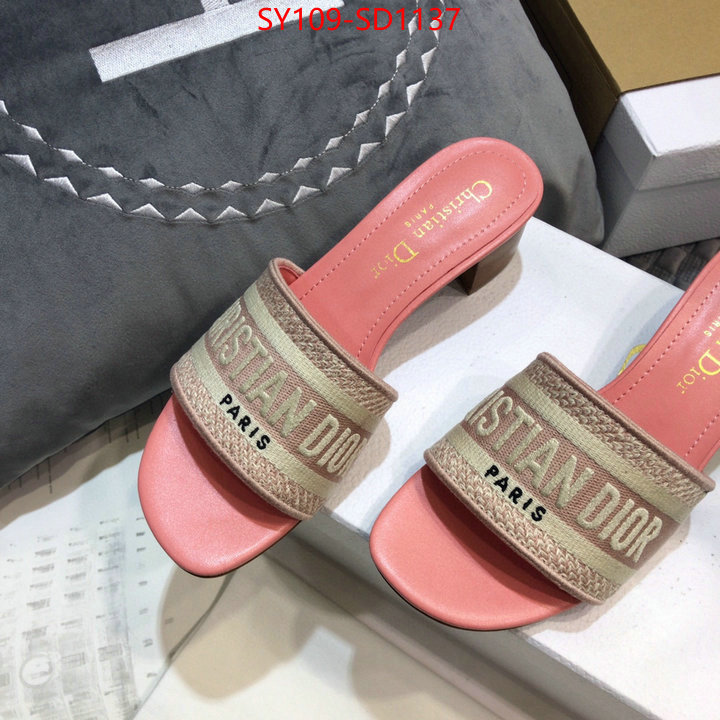 Women Shoes-Dior,wholesale replica , ID: SD1137,$: 109USD