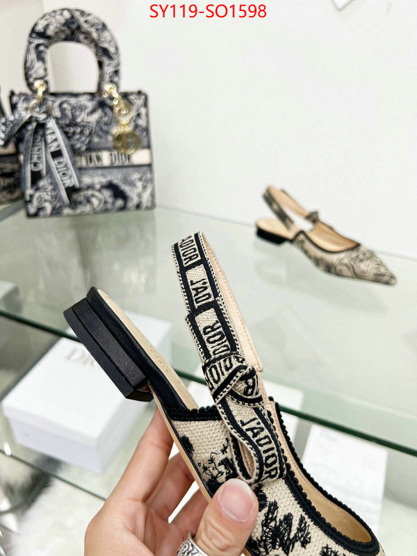 Women Shoes-Dior,best luxury replica , ID: SO1598,$: 119USD