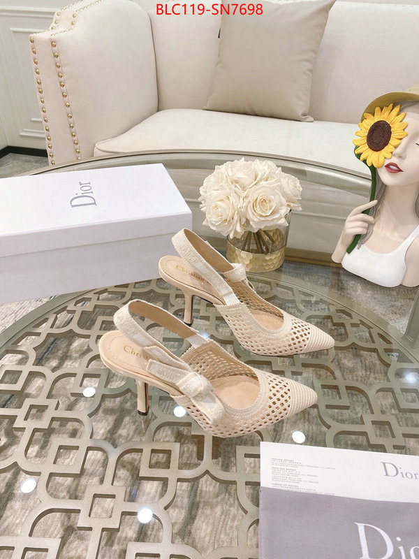 Women Shoes-Dior,how to buy replcia , ID: SN7698,$: 119USD