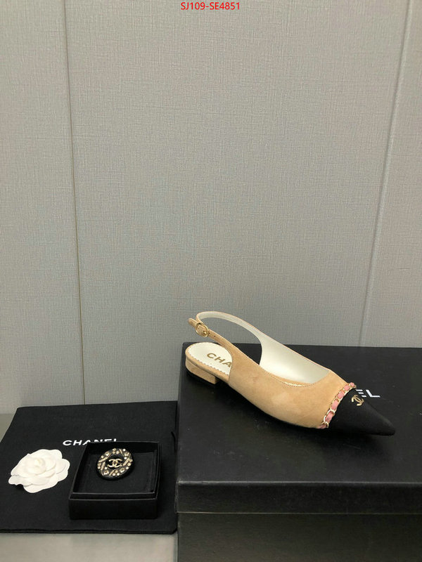 Women Shoes-Chanel,can you buy knockoff , ID: SE4851,$: 109USD