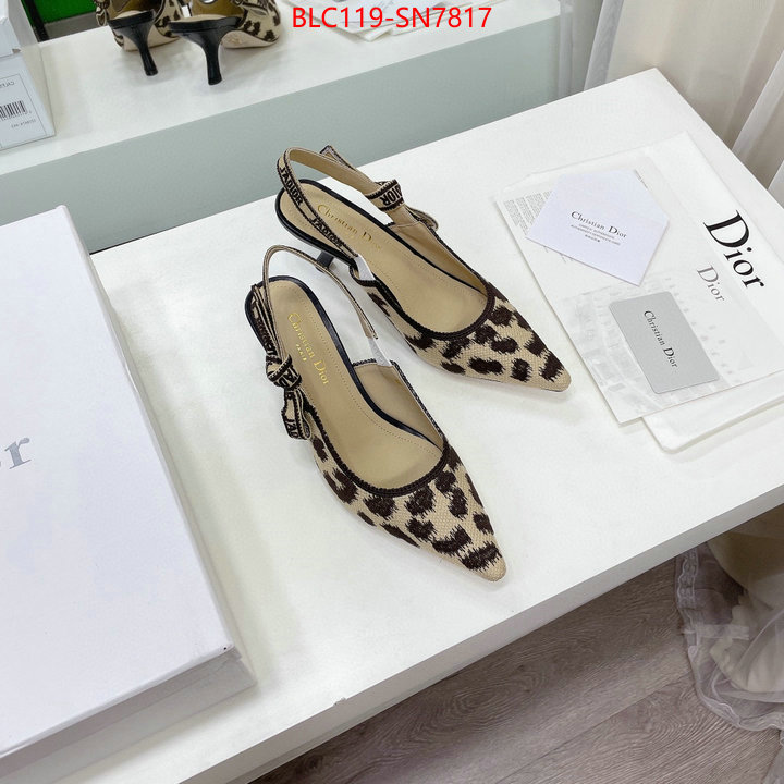 Women Shoes-Dior,top quality fake , ID: SN7817,$: 119USD