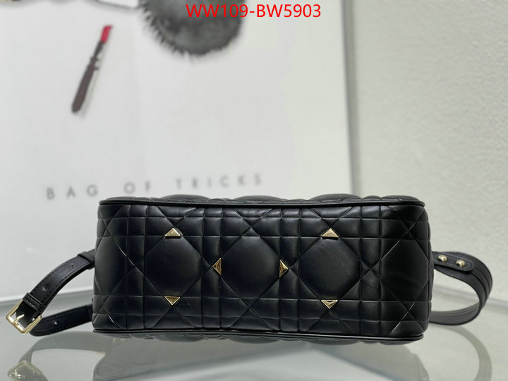 Dior Bags(4A)-Other Style-,ID: BW5903,$: 109USD