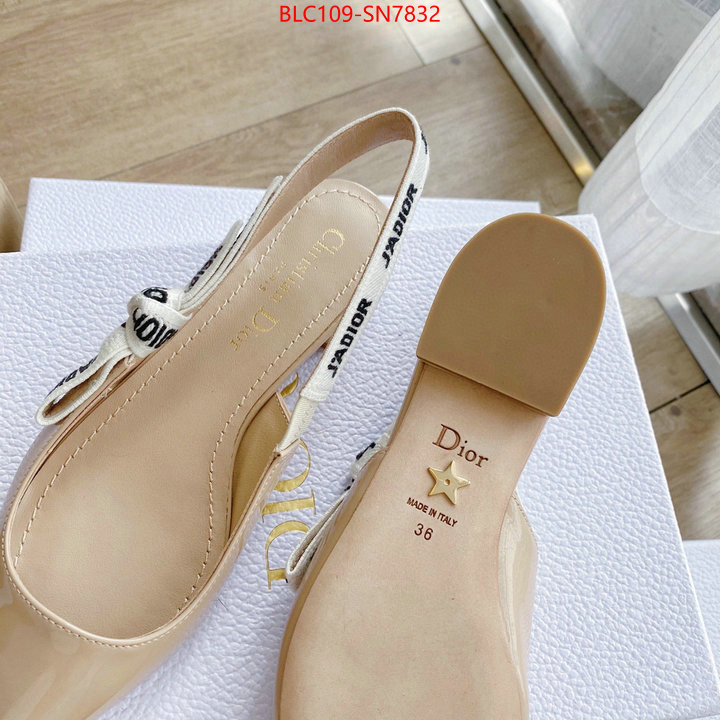 Women Shoes-Dior,2023 replica , ID: SN7832,$: 109USD