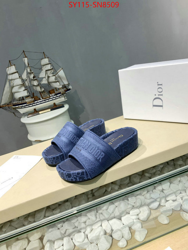 Women Shoes-Dior,sell online , ID: SN8509,$: 115USD