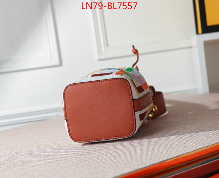 Fendi Bags(4A)-Mon Tresor-,shop designer replica ,ID: BL7557,$: 79USD