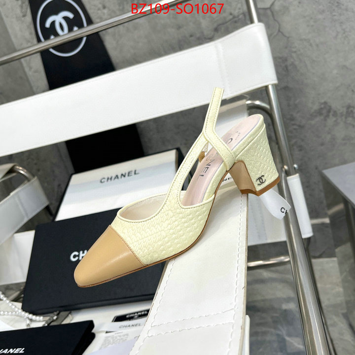 Women Shoes-Chanel,brand designer replica , ID: SO1067,$: 109USD