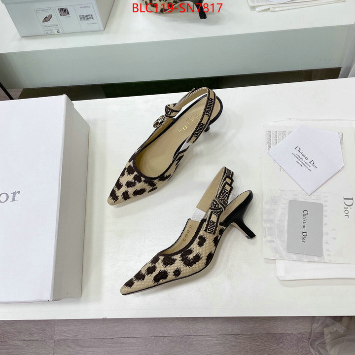 Women Shoes-Dior,top quality fake , ID: SN7817,$: 119USD