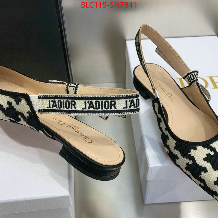 Women Shoes-Dior,outlet 1:1 replica , ID: SN7841,$: 119USD