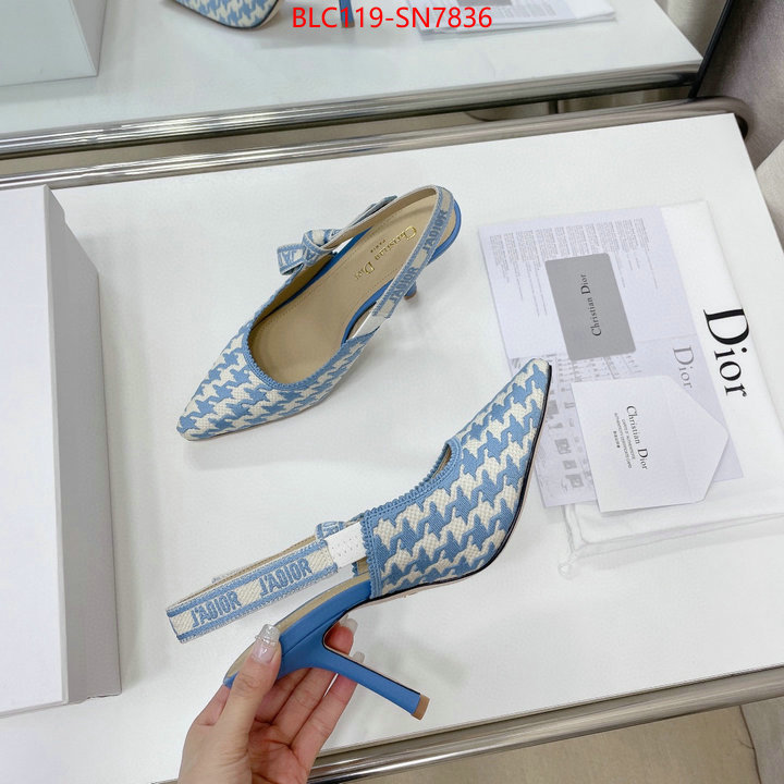 Women Shoes-Dior,what's the best to buy replica , ID: SN7836,$: 119USD