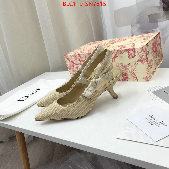 Women Shoes-Dior,shop cheap high quality 1:1 replica , ID: SN7815,$: 119USD