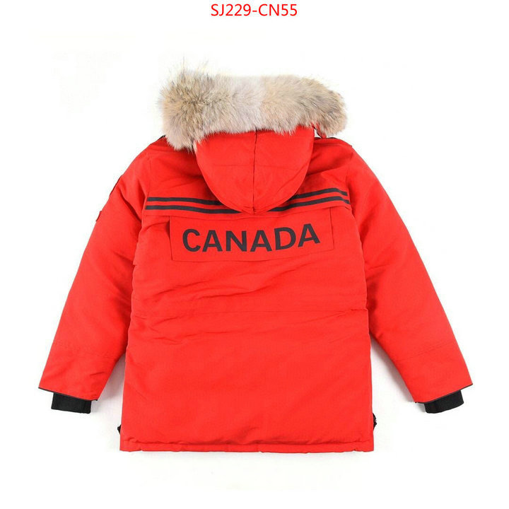 Down jacket Women-Canada Goose,2023 aaaaa replica 1st copy , ID: CN55,$: 229USD