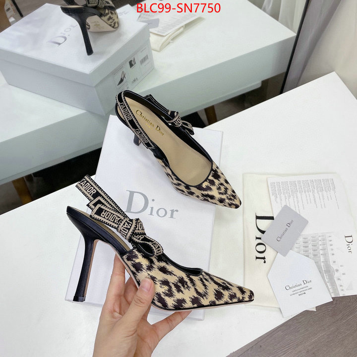 Women Shoes-Dior,high quality designer , ID: SN7750,$: 99USD