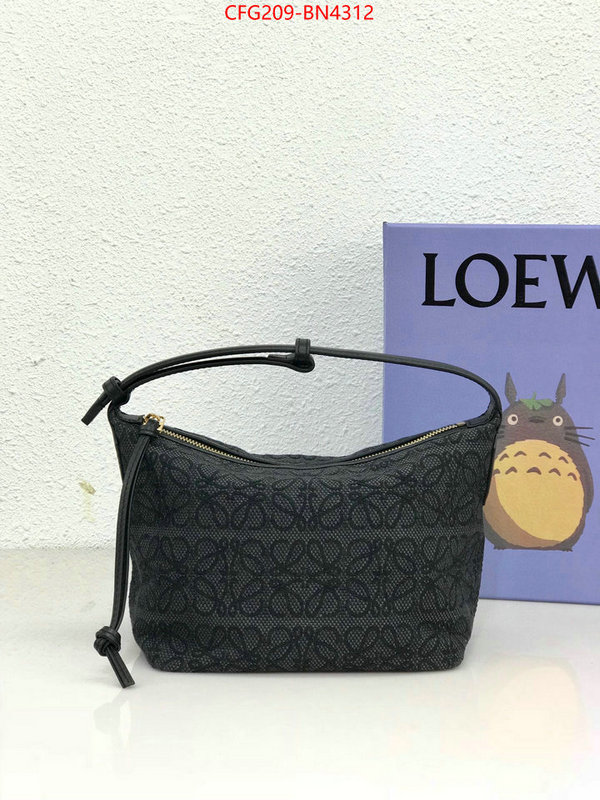 Loewe Bags(TOP)-Cubi,top 1:1 replica ,ID: BN4312,$: 209USD