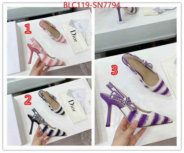 Women Shoes-Dior,online store , ID: SN7794,$: 119USD