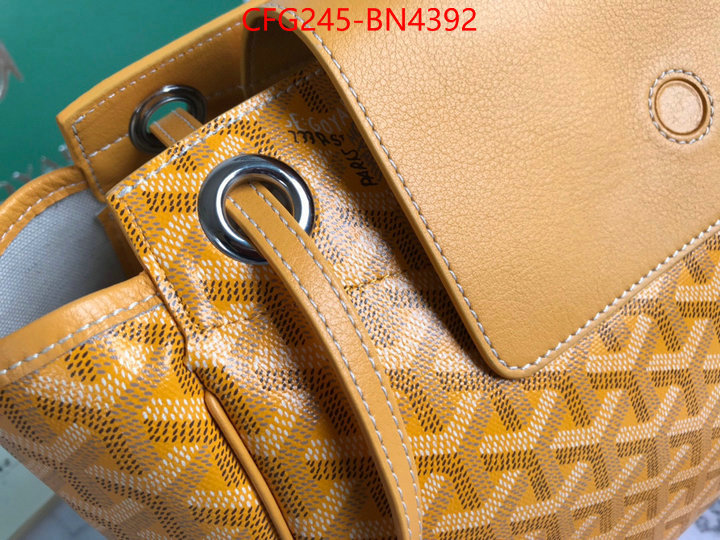 Goyard Bags(TOP)-Handbag-,ID: BN4392,$: 245USD