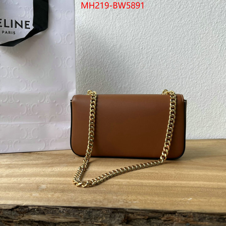 CELINE Bags(TOP)-Diagonal,7 star ,ID: BW5891,$: 219USD