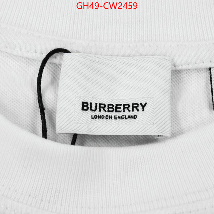 Clothing-Burberry,2023 perfect replica designer , ID: CW2459,$: 49USD