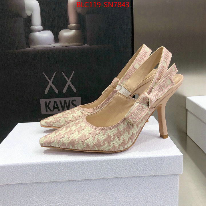 Women Shoes-Dior,we curate the best , ID: SN7843,$: 119USD