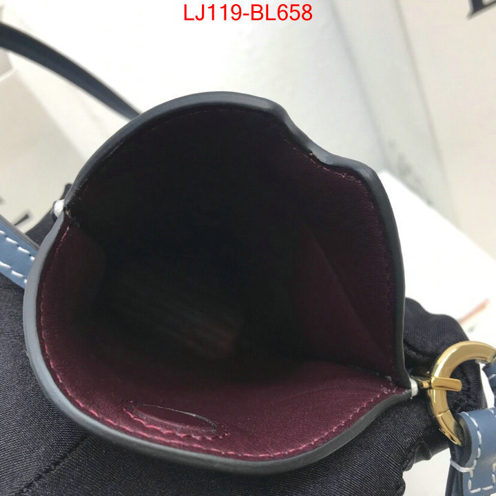 Loewe Bags(TOP)-Diagonal-,high quality replica ,ID: BL658,$:119USD