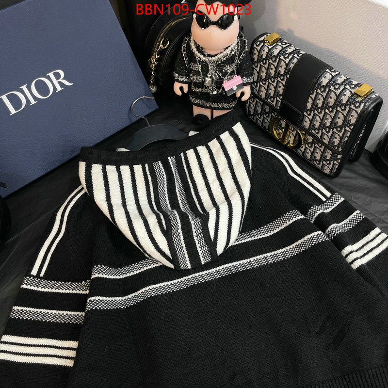 Clothing-Dior,luxury shop , ID: CW1023,$: 109USD