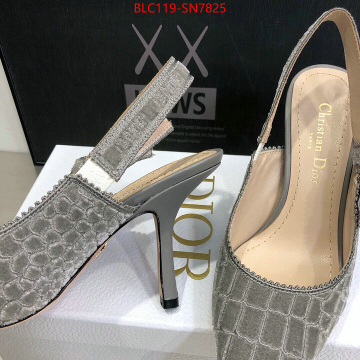 Women Shoes-Dior,buy 1:1 , ID: SN7825,$: 119USD