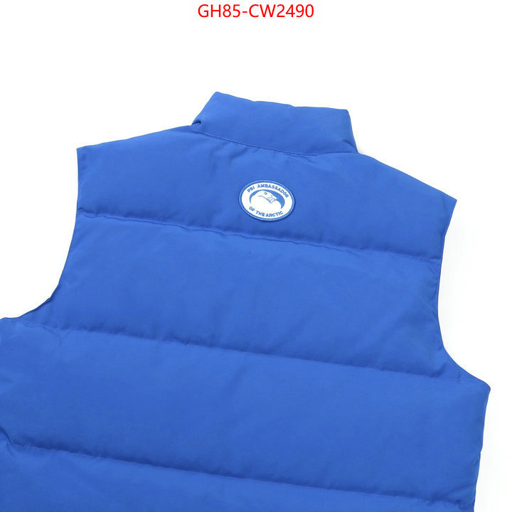 Down jacket Men-Canada Goose,best quality replica , ID: CW2490,$: 85USD