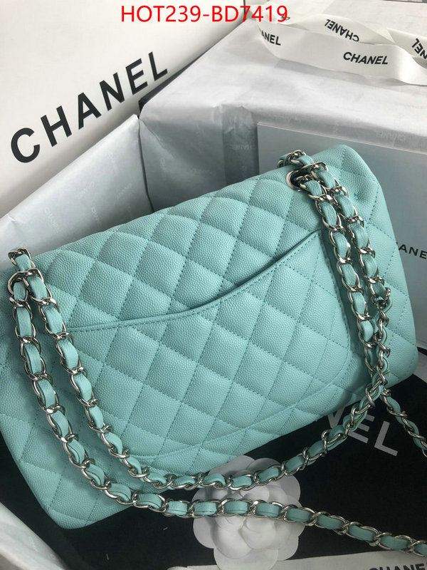 Chanel Bags(TOP)-Diagonal-,ID: BD7419,$: 239USD